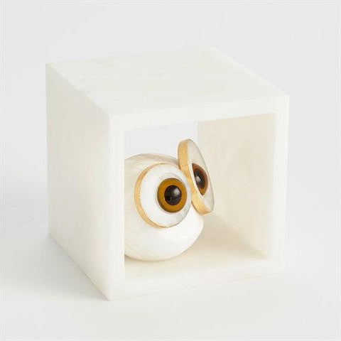 Alabaster Big Eyed Owl in Cube-Small