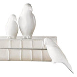 Book Bird-Matte White-Large(منحوتة طائرين على صندوق - بلون أبيض غير لامع- حجم كبير)