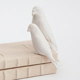 Book Bird-Matte White-Large(منحوتة طائرين على صندوق - بلون أبيض غير لامع- حجم كبير)