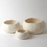 Ceramic Urchin Bowl-Matte White-Small(وعاء من السيراميك- مزخرف - أبيض صغير)