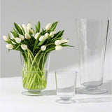 Clear View Vase-Large(مزهرية شفافه - كبيرة)