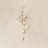 Huckleberry-Antique Brass-Small size wall décor(جداريه انتيك نحاس -  صغير )