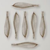 Palm Seed Pod-Nickel(قرنة بذور النخيل- نيكل)