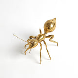 Pharaoh Ant-Antique Brass-Large(ديكور على شكل نمله من النحاس  العتيقة -كبير )