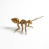 Pharaoh Ant-Antique Brass-Small