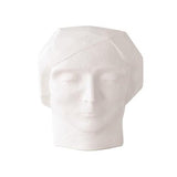 Plaster Faceted Bust-Male(تمثال نصفي - ذكر)